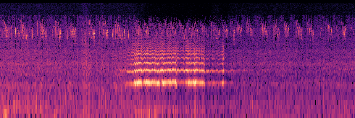 Spectrogram: Insect Wingbeats